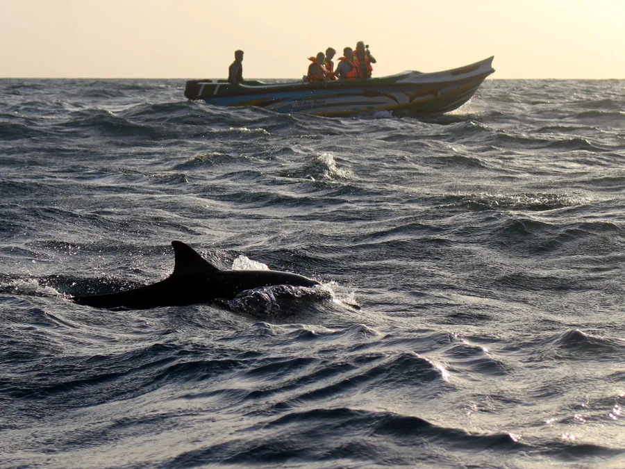 Trincomalee